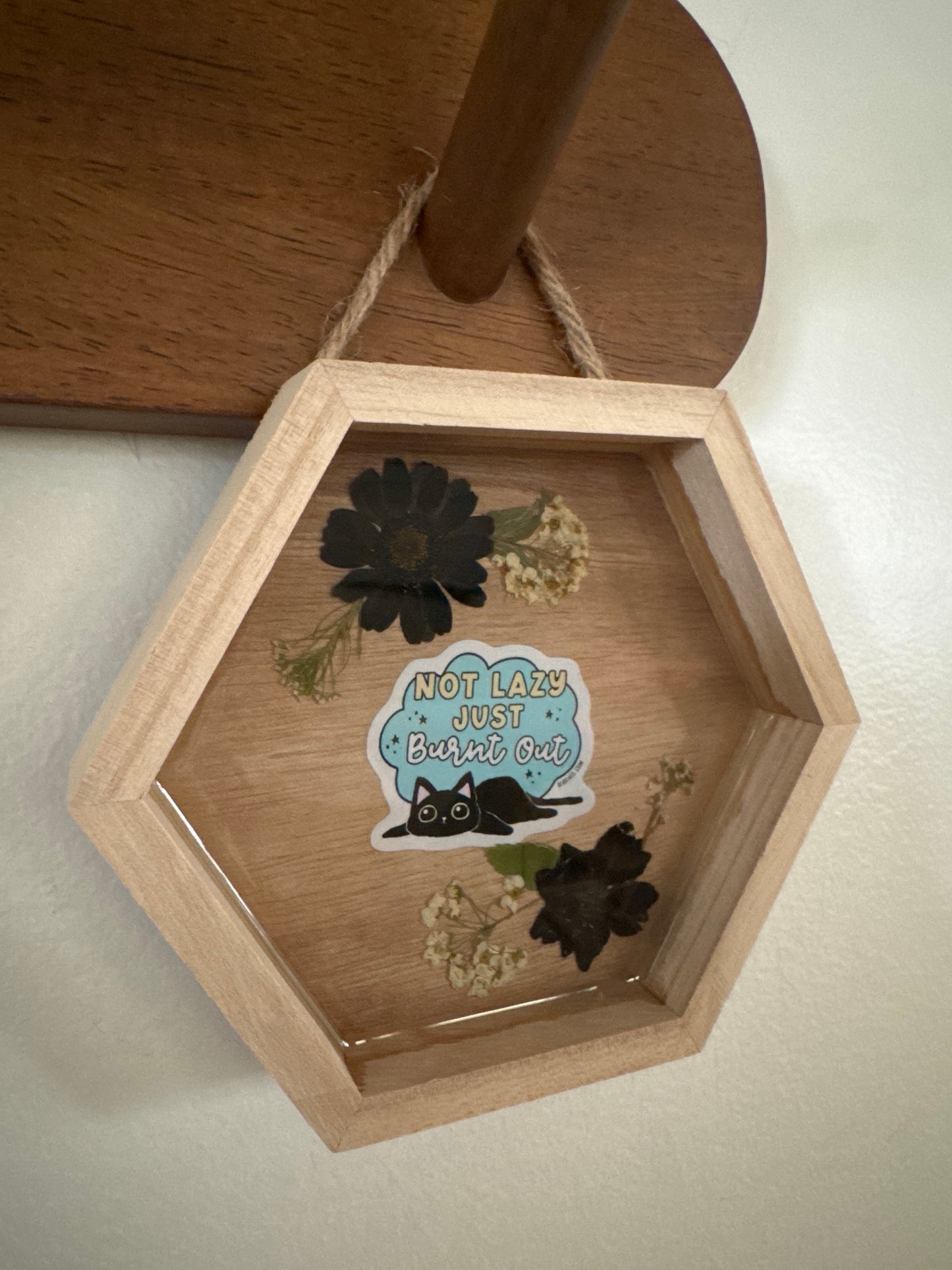 Not Lazy, Just Burnt Out Cat Small Hexagon Wood Frame