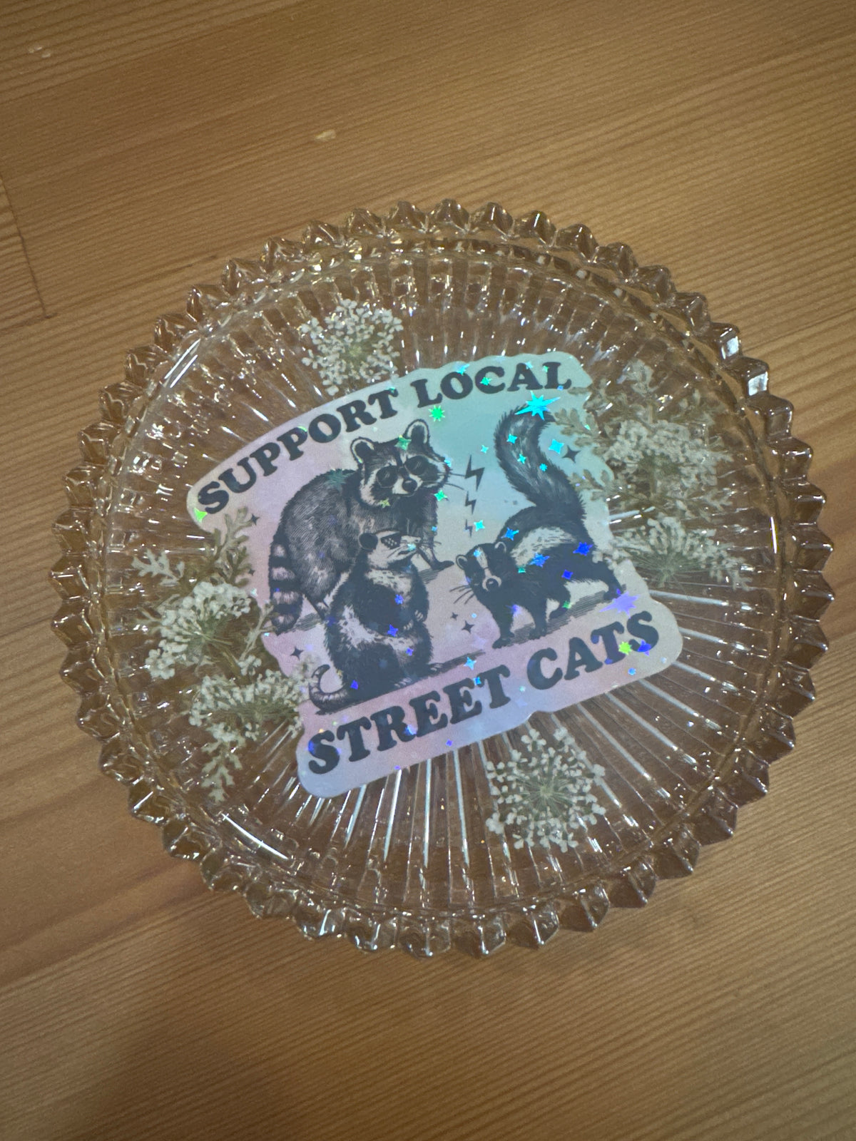 “Support Local Street Cats” Pressed Flower Resin Glass Dish