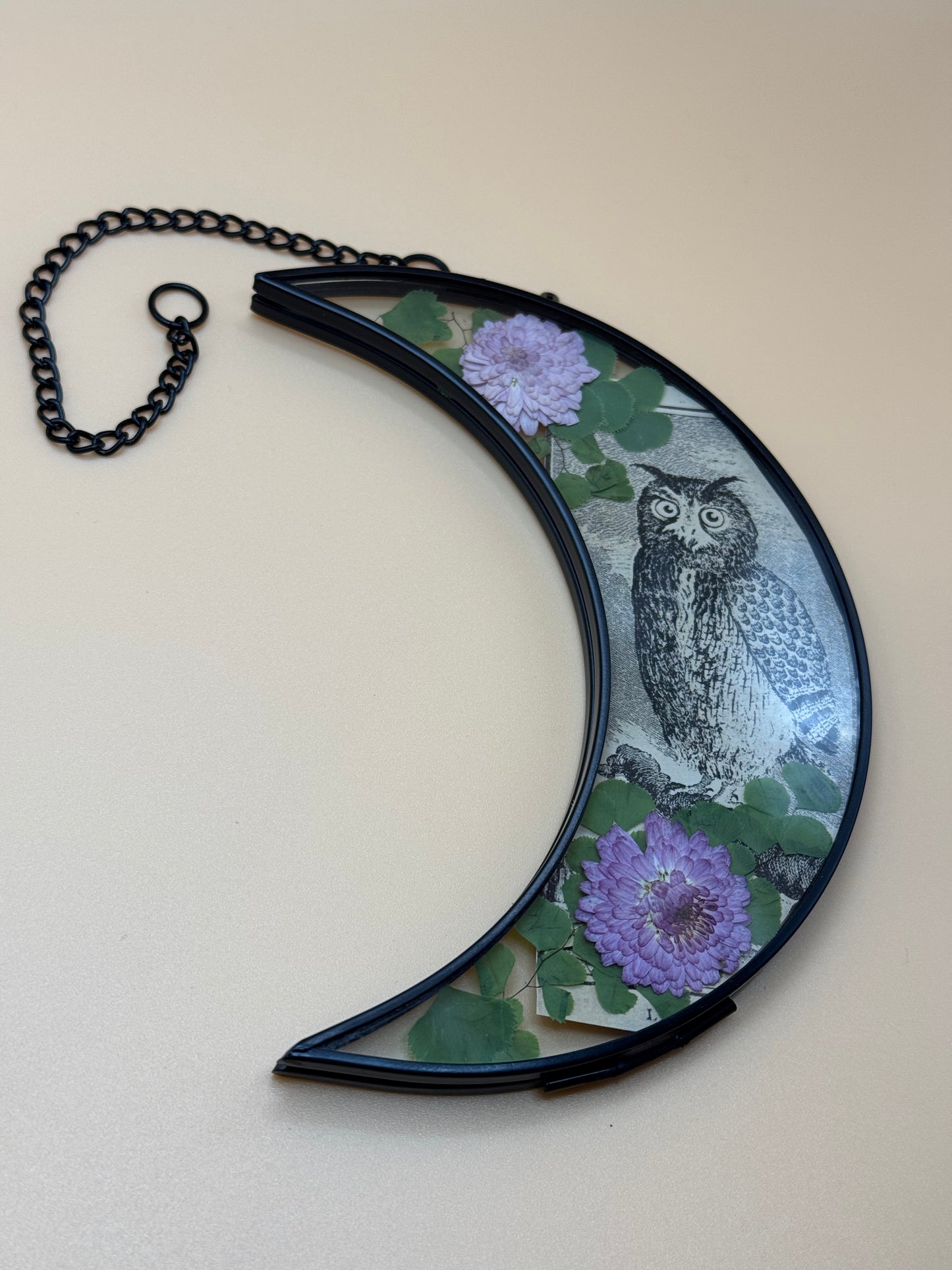 Nocturnal Bloom Moon Frame with Owl