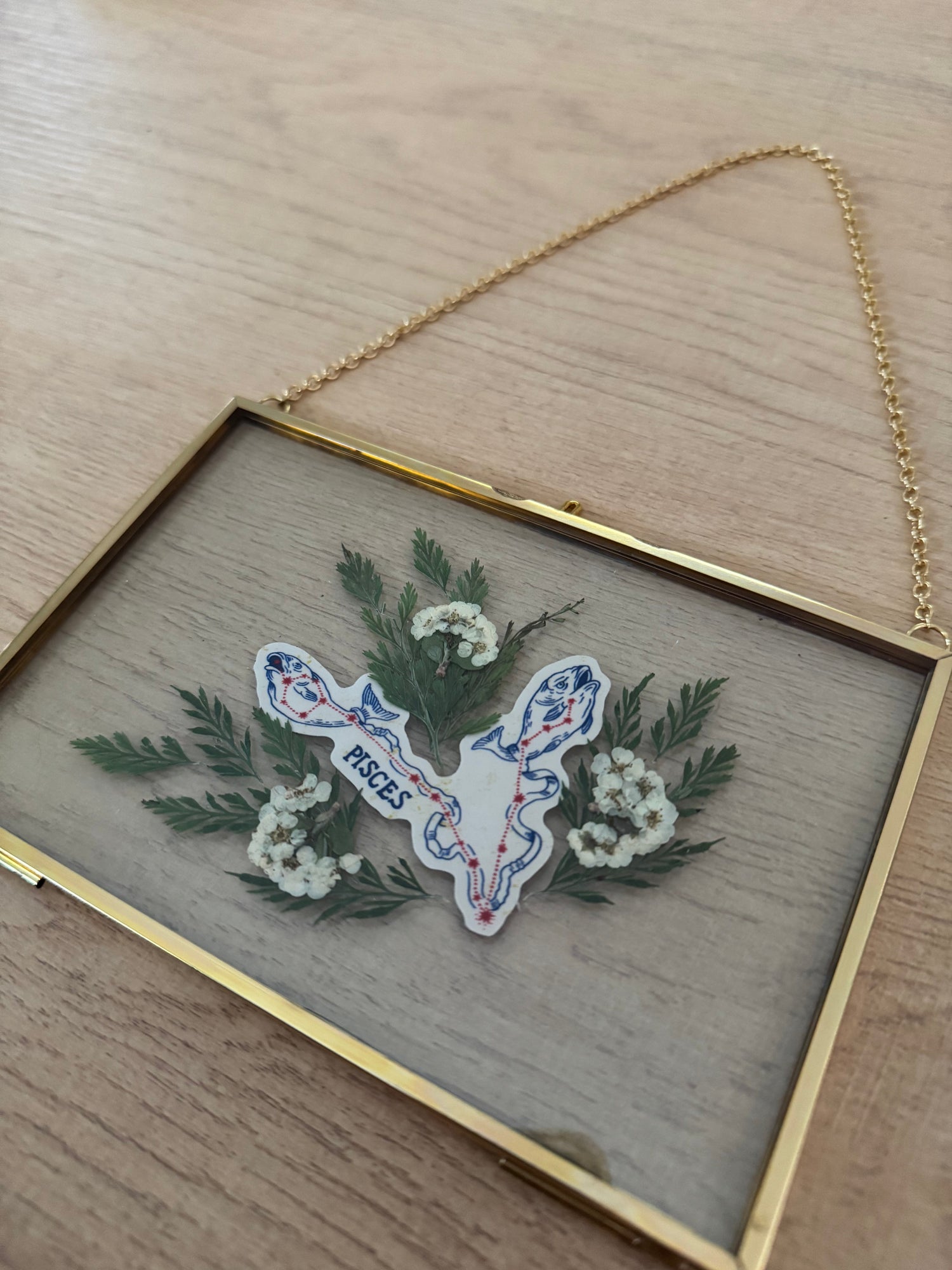 Zodiac Sign Glass Frames
