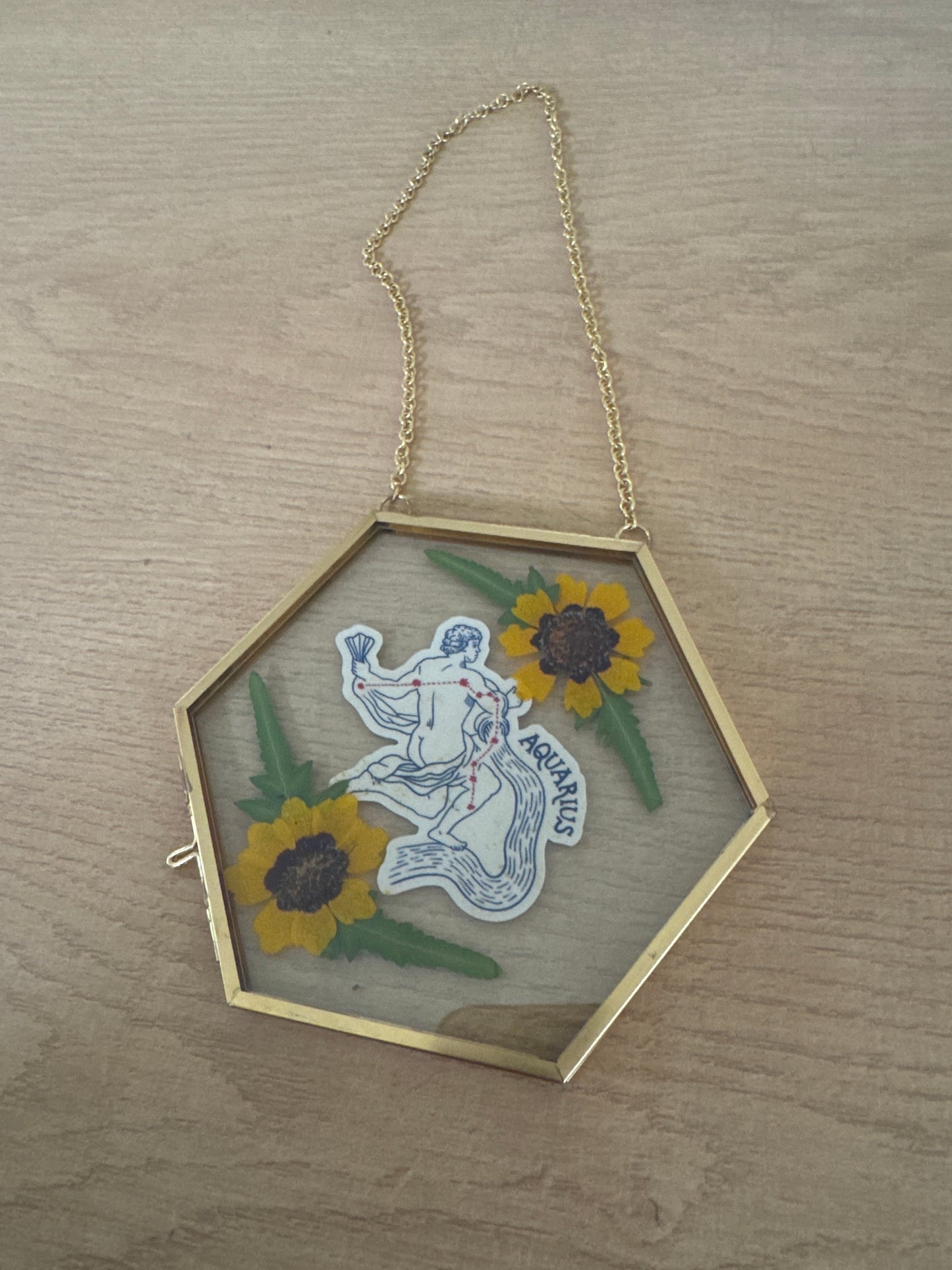 Aquarius Sign Glass Frame