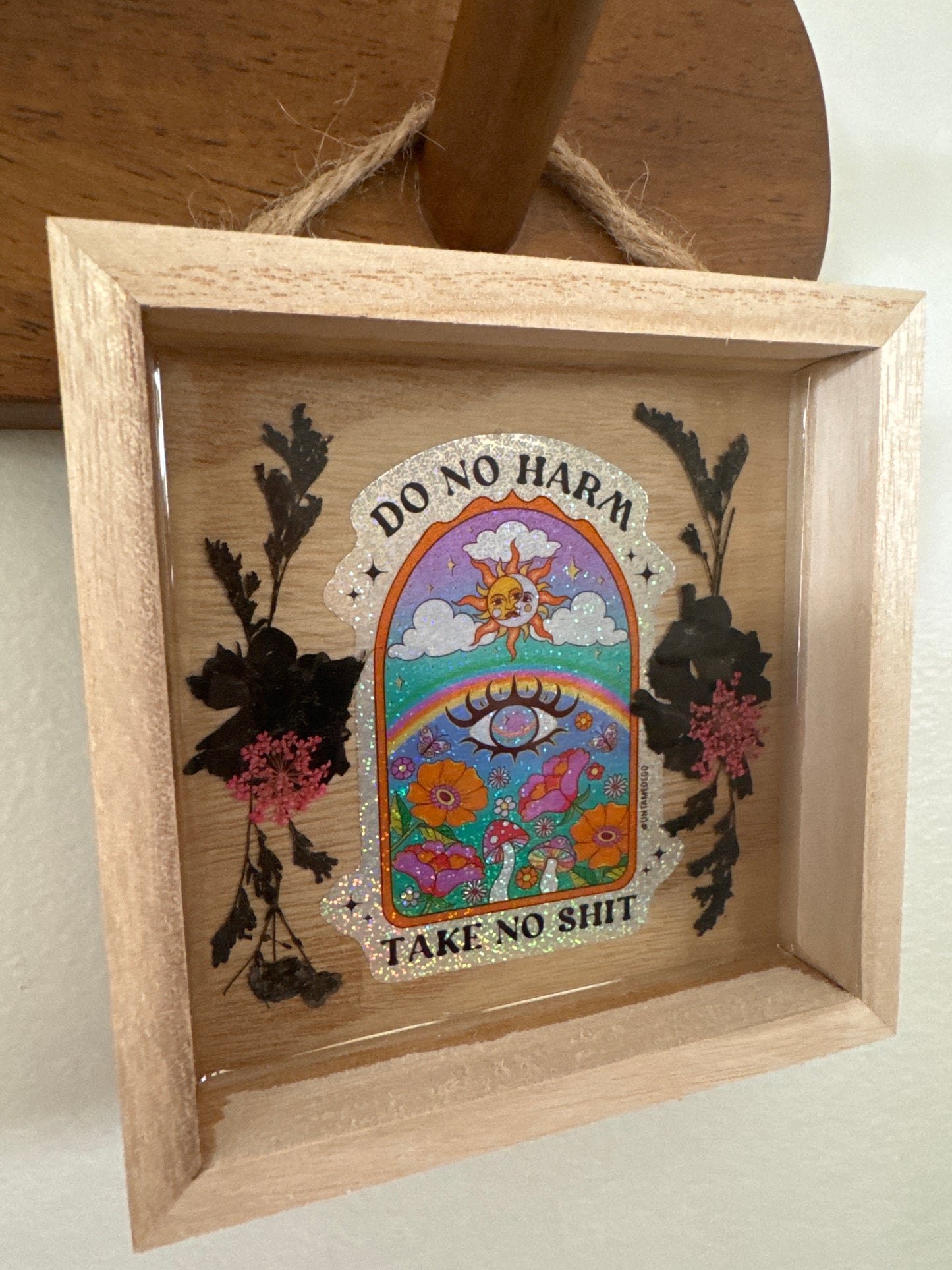 “Do No Harm, Take No Shit” Wood Frame