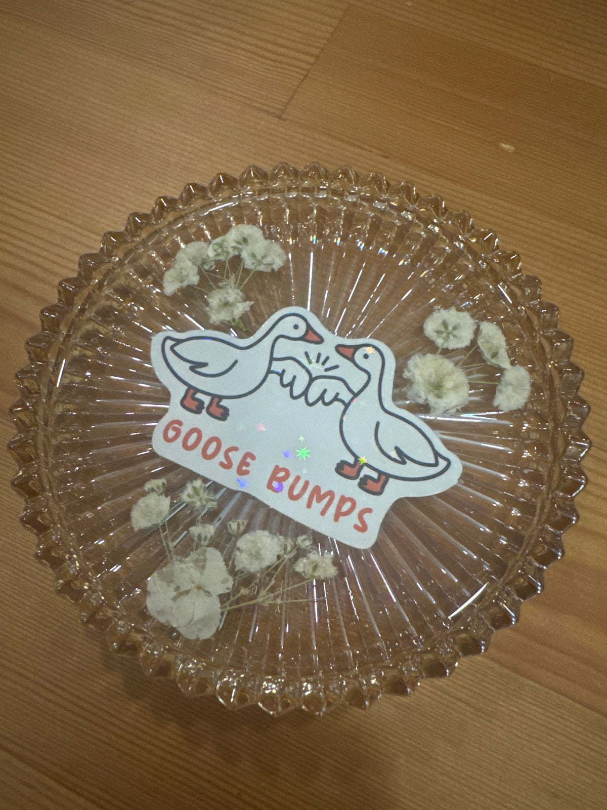 “Goose Bumps” White Pressed Flower Resin Glass Dish