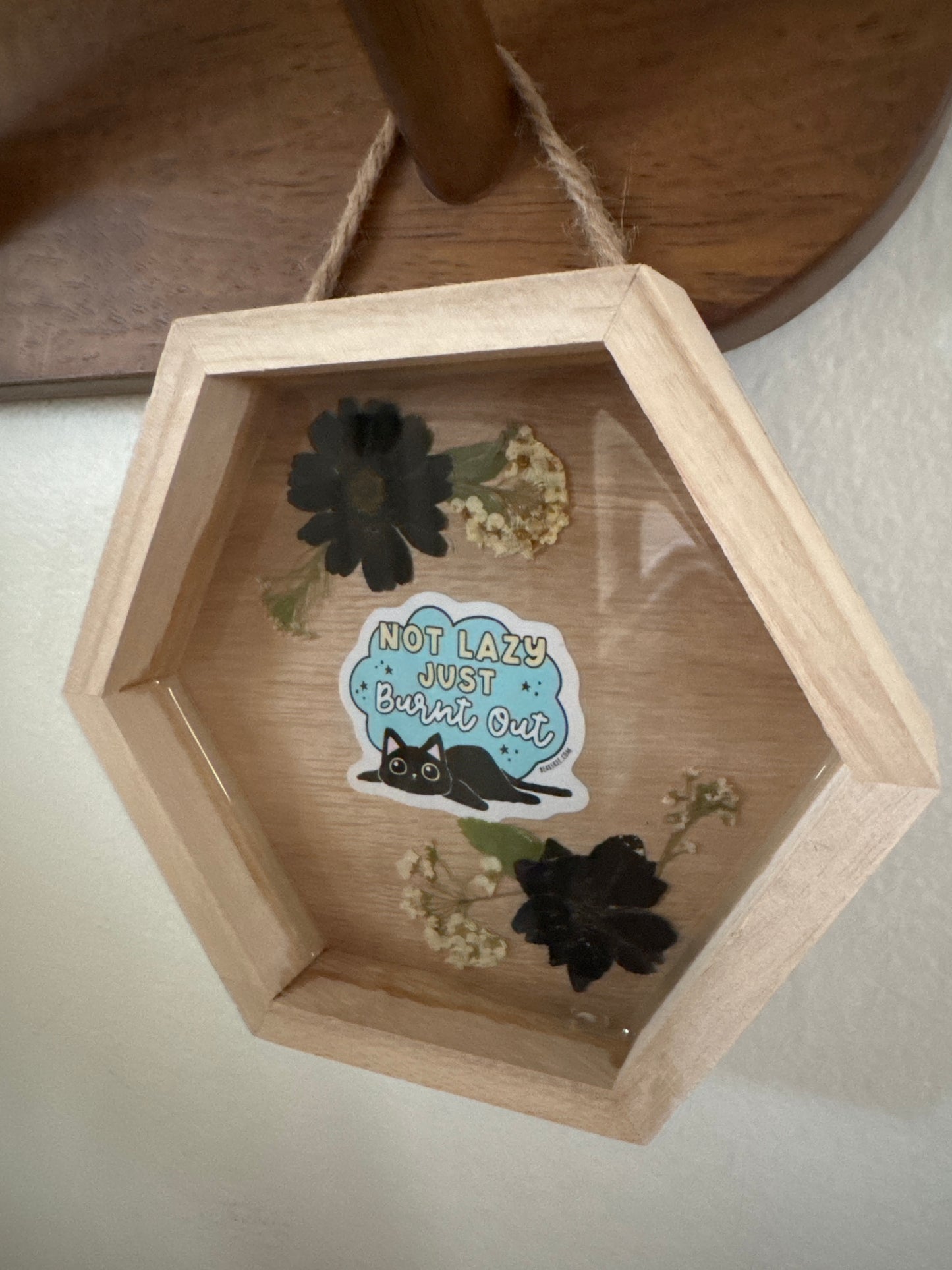 Not Lazy, Just Burnt Out Cat Small Hexagon Wood Frame