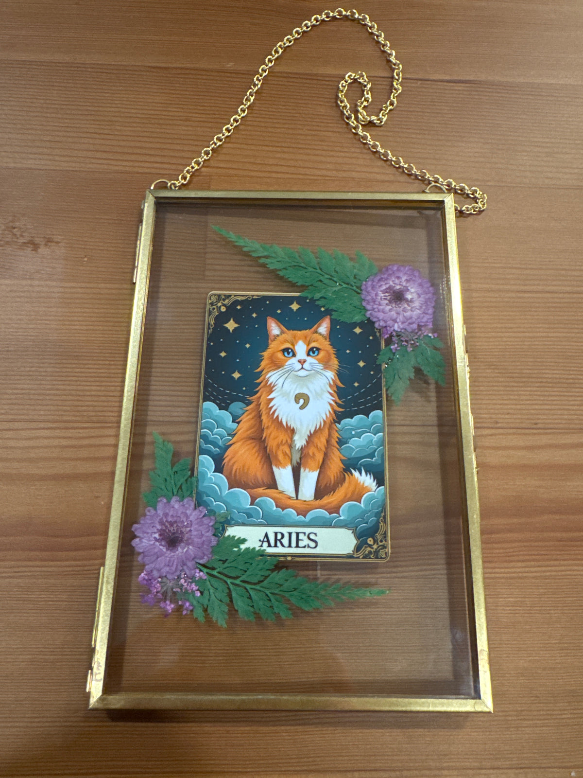 Aries Cat Zodiac Birth Sign Glass Frame