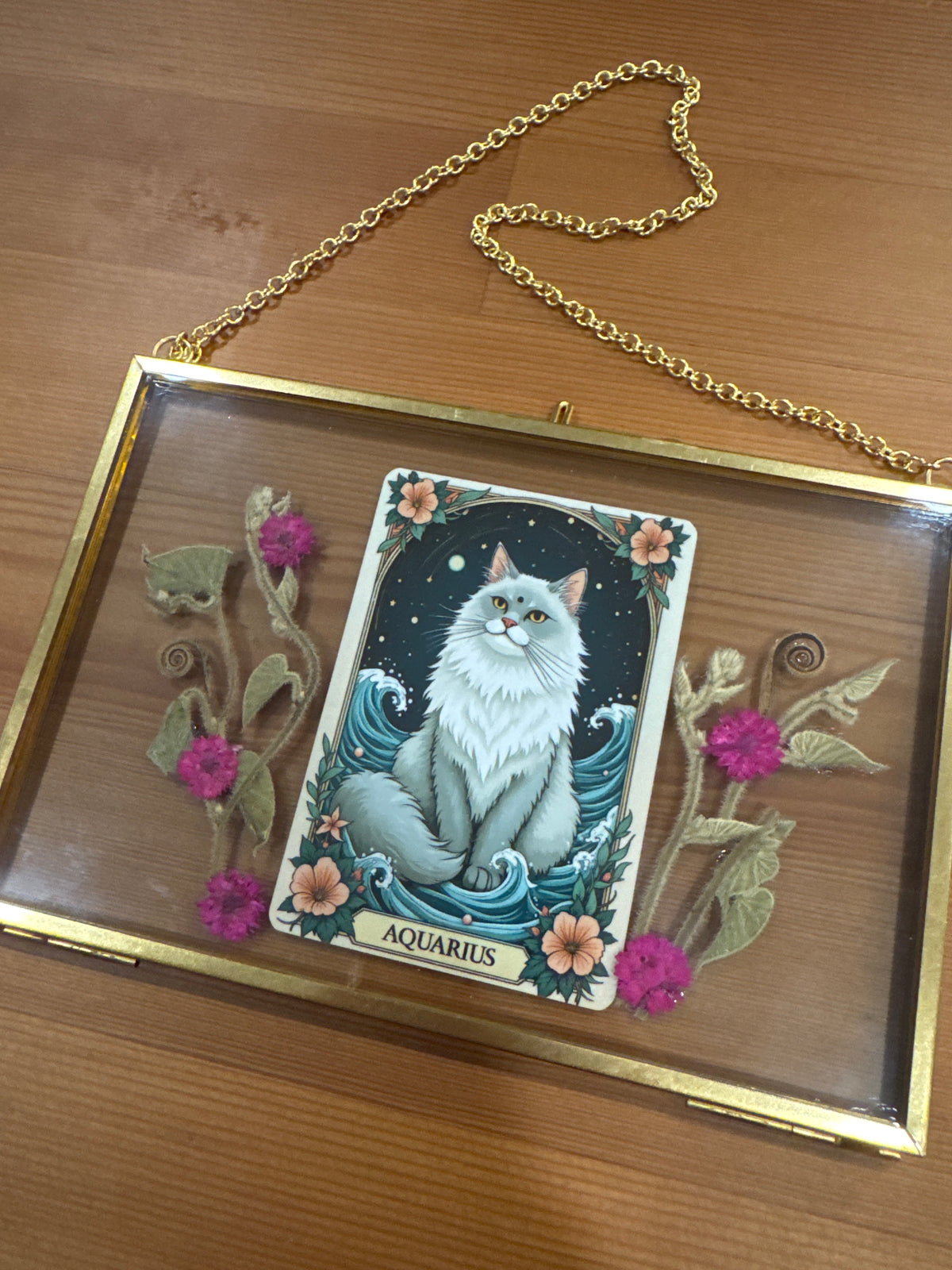 Aquarius Cat Zodiac Birth Sign Glass Frame