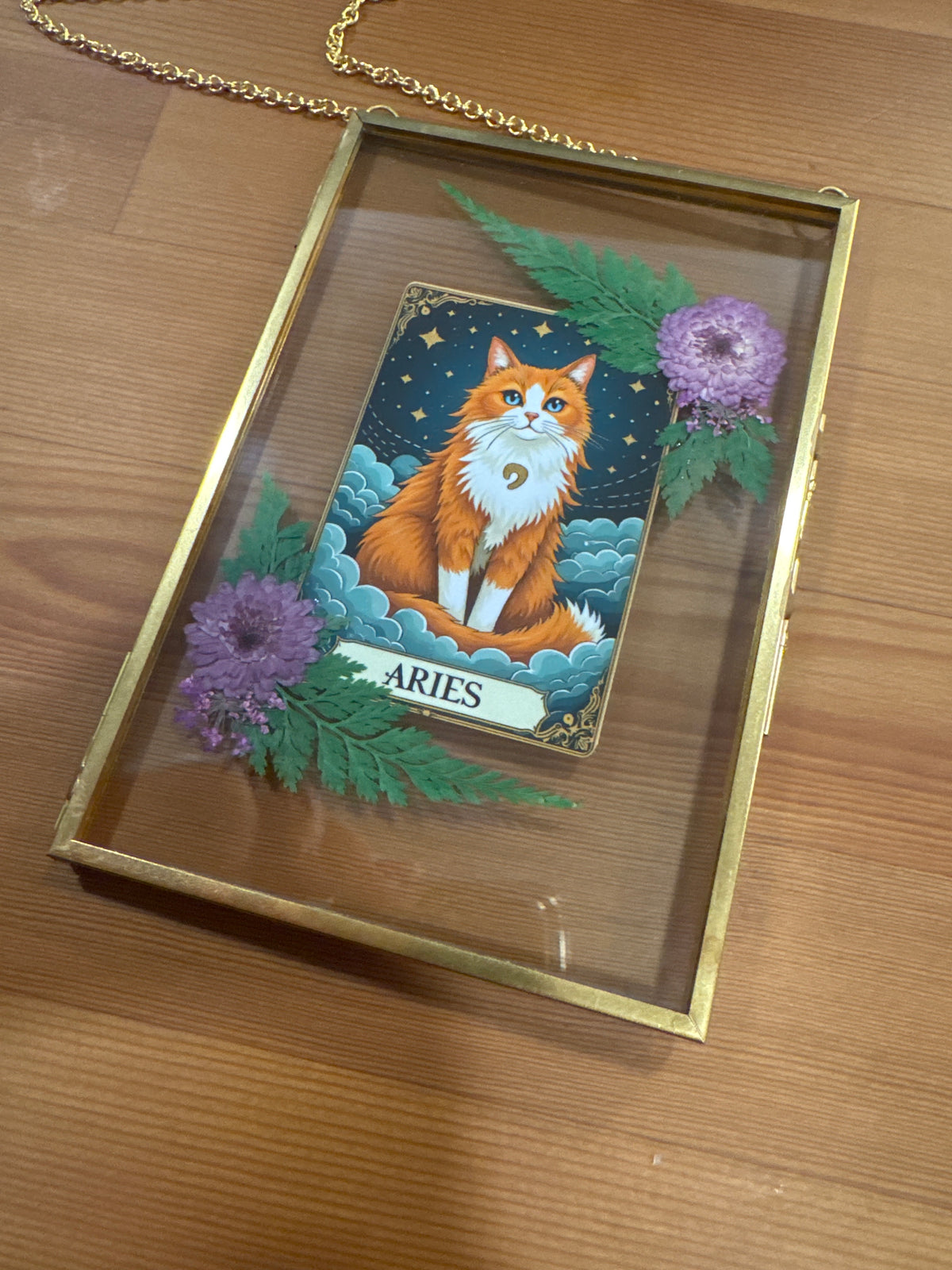 Aries Cat Zodiac Birth Sign Glass Frame