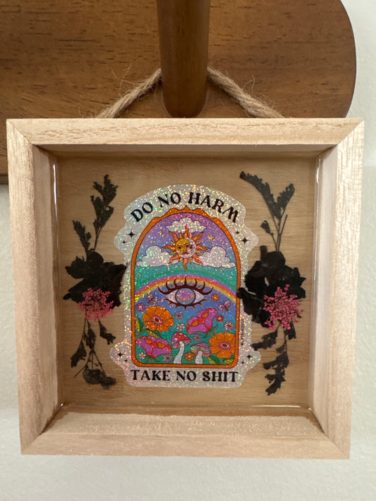 “Do No Harm, Take No Shit” Wood Frame