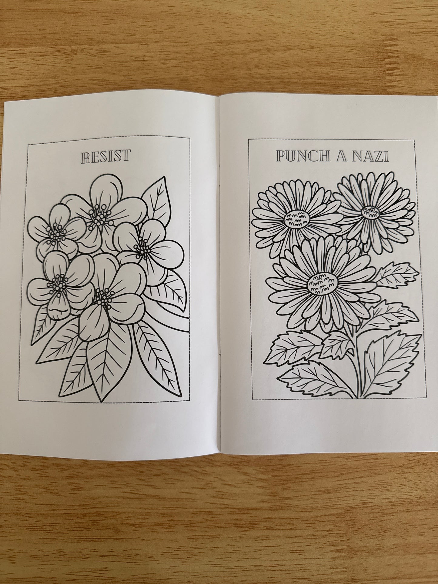 Spicy Little Coloring Book