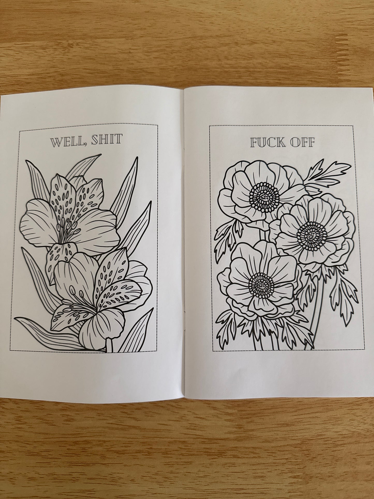 Spicy Little Coloring Book