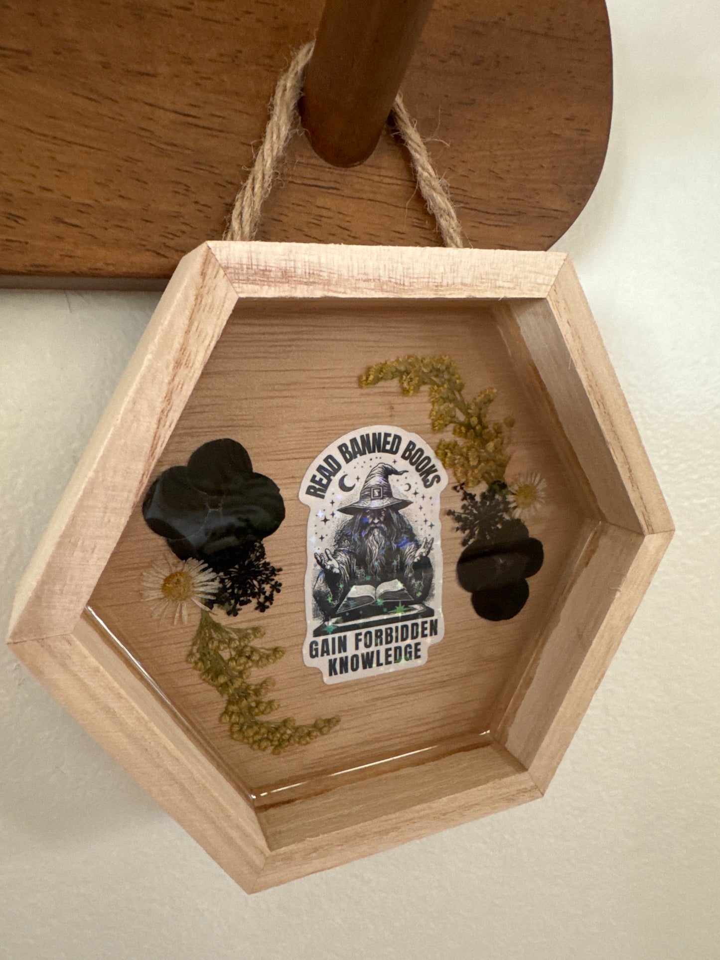 “Read Banned Books, Gain Forbidden Knowledge” Wizard Small Hexagon Wood Frame