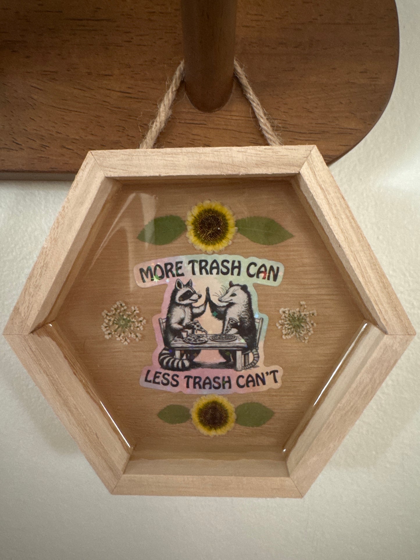 More Trash Can Less Trash Can’t Raccoon and Possum Hexagon Wood Frame