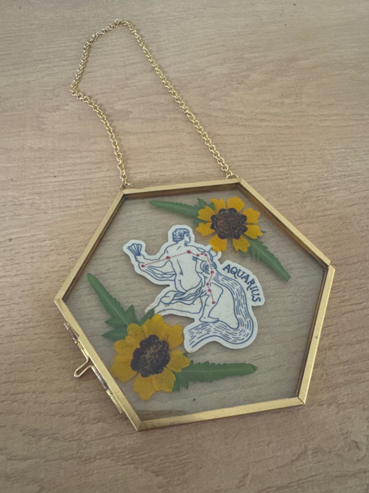 Aquarius Sign Glass Frame