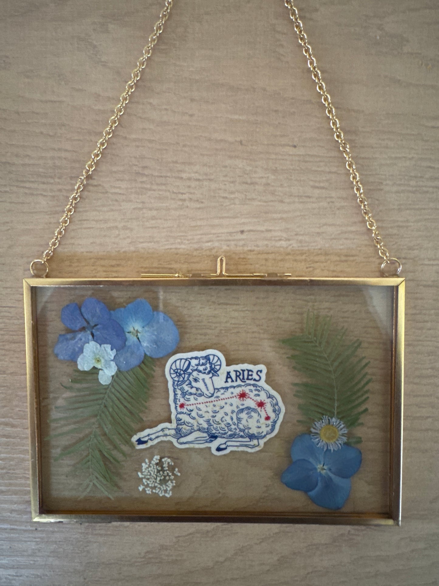 Aries Sign Glass Frame