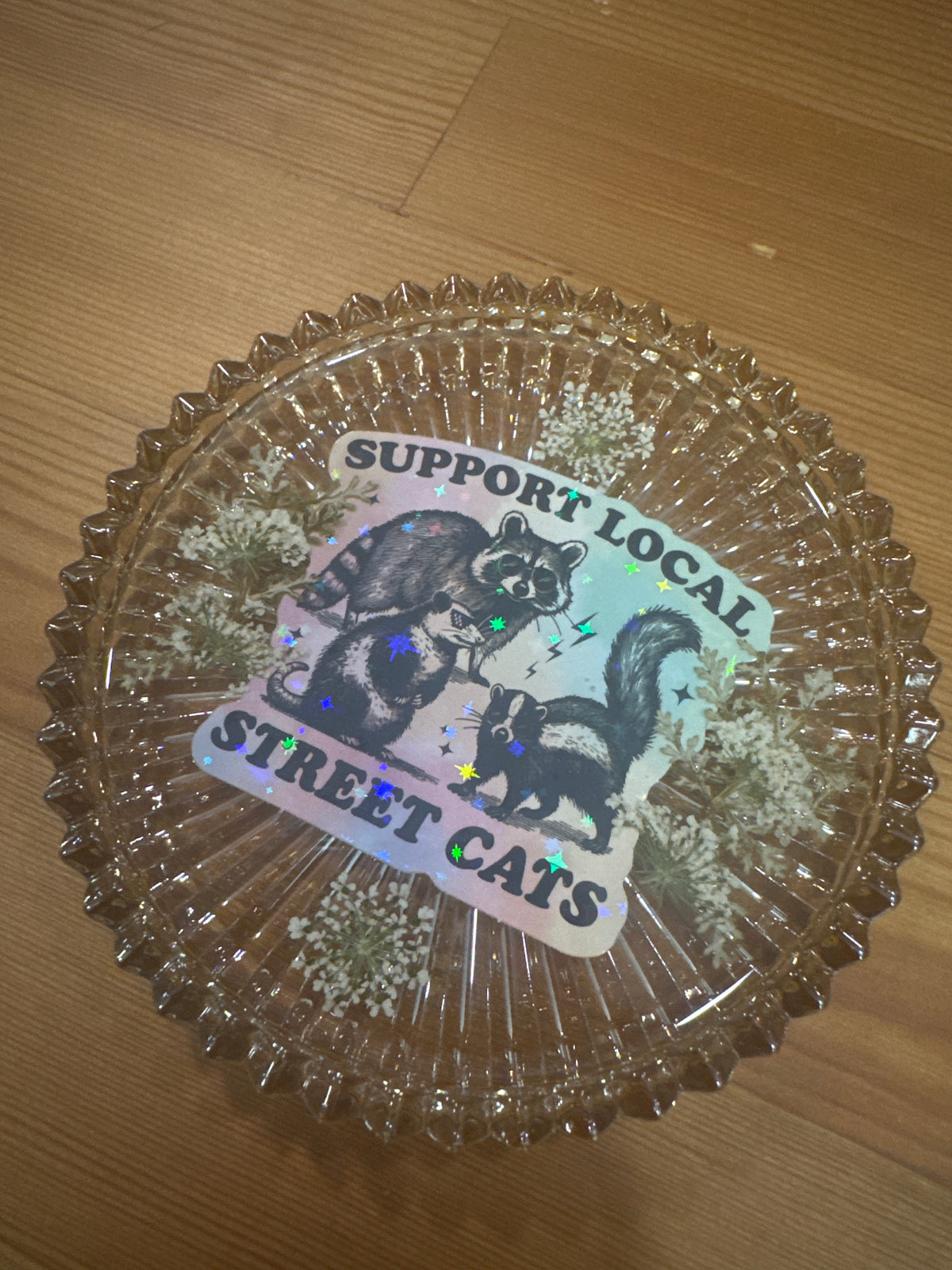 “Support Local Street Cats” Pressed Flower Resin Glass Dish