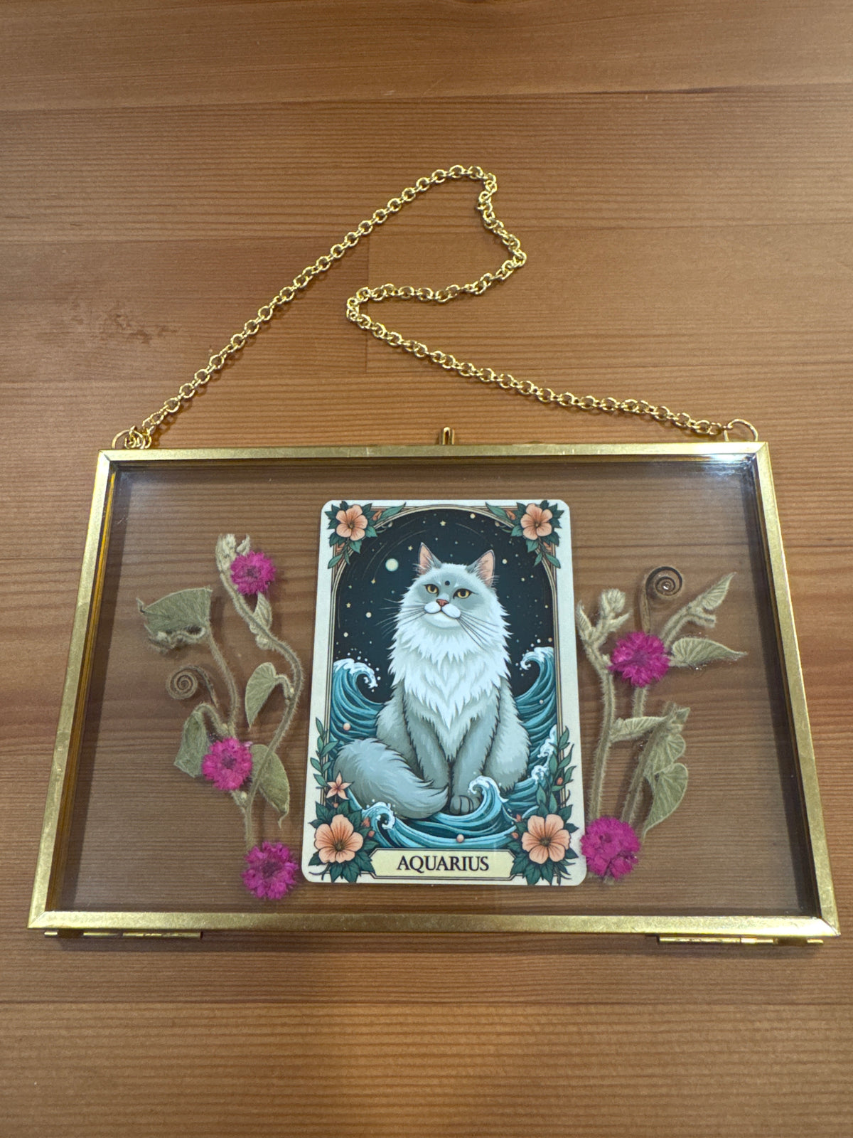 Aquarius Cat Zodiac Birth Sign Glass Frame