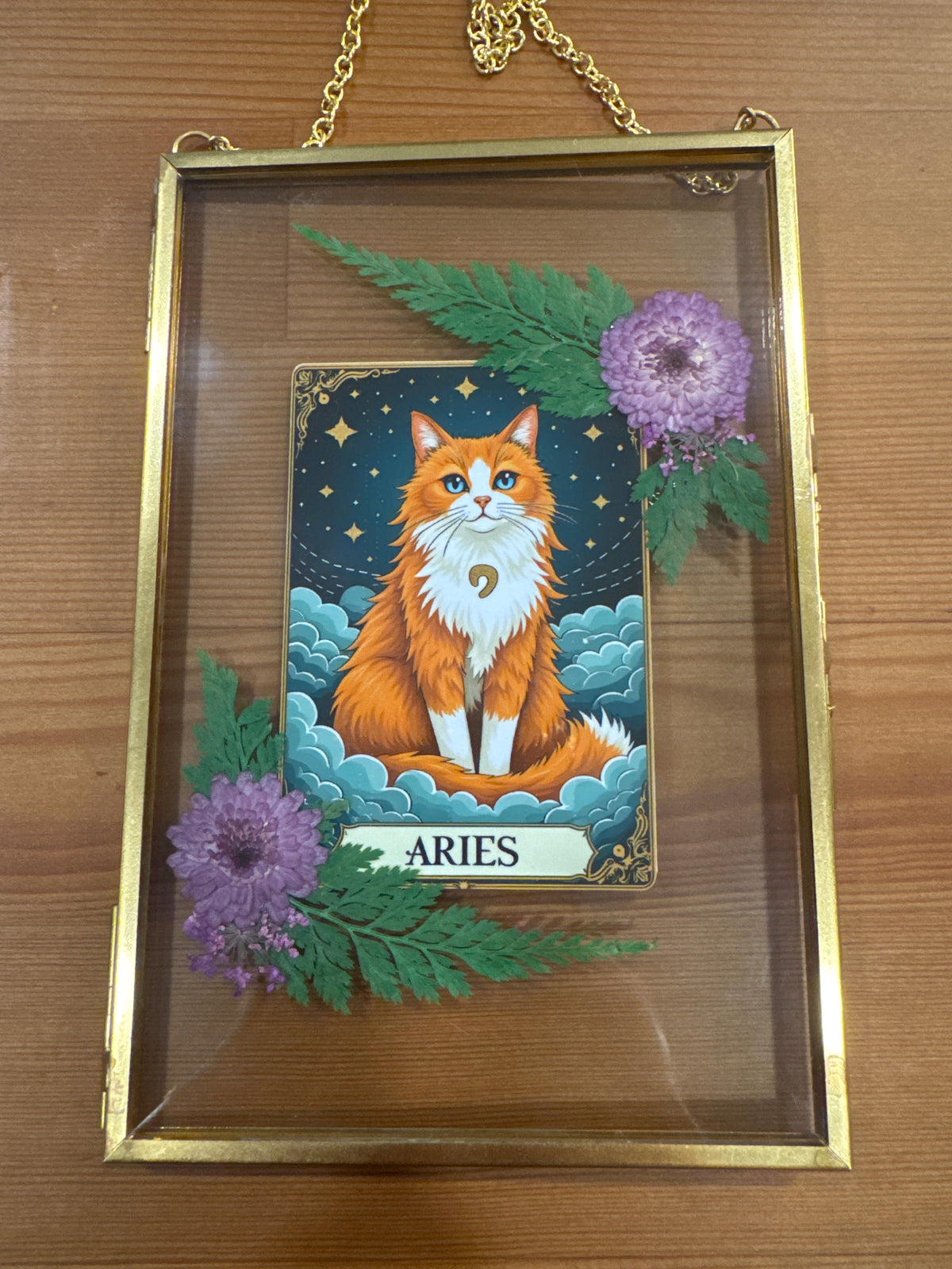 Aries Cat Zodiac Birth Sign Glass Frame