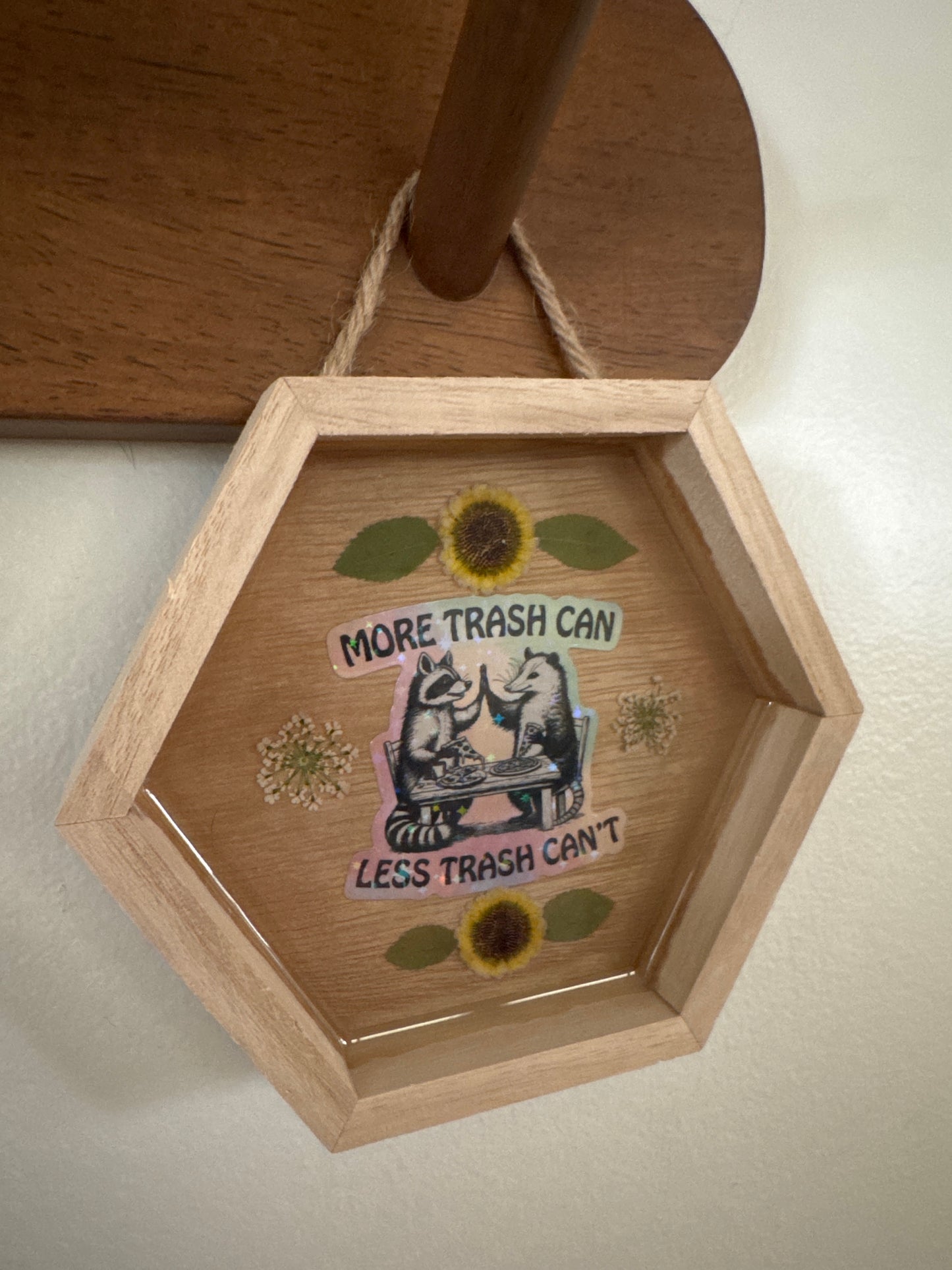 More Trash Can Less Trash Can’t Raccoon and Possum Hexagon Wood Frame