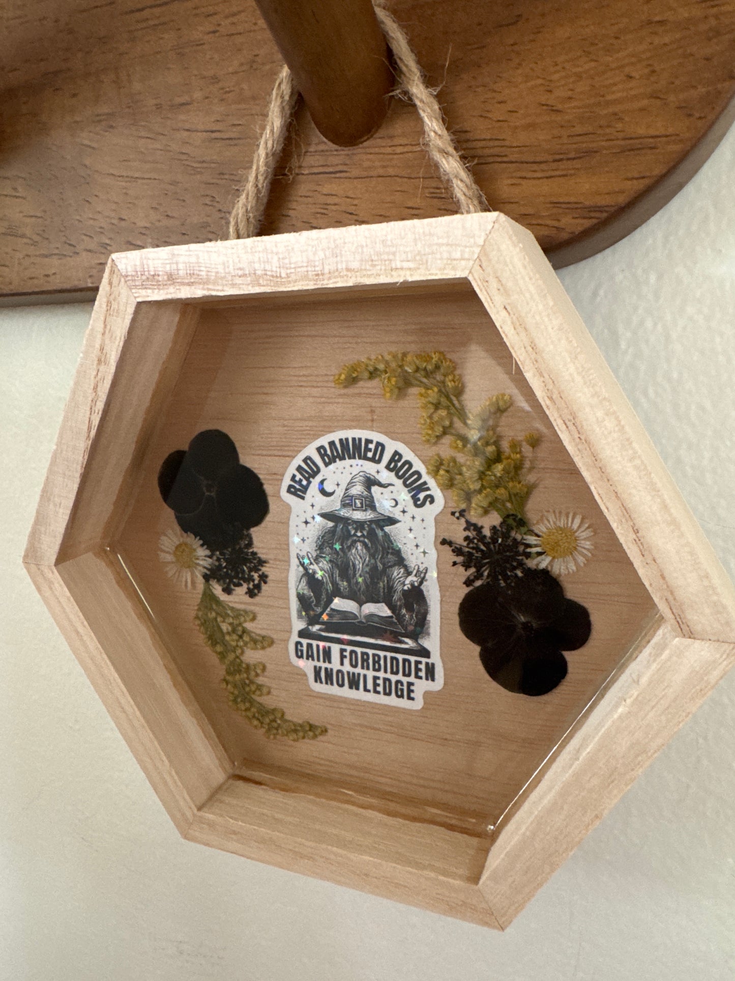 “Read Banned Books, Gain Forbidden Knowledge” Wizard Small Hexagon Wood Frame