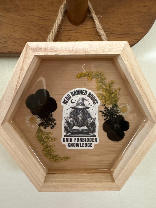 “Read Banned Books, Gain Forbidden Knowledge” Wizard Small Hexagon Wood Frame