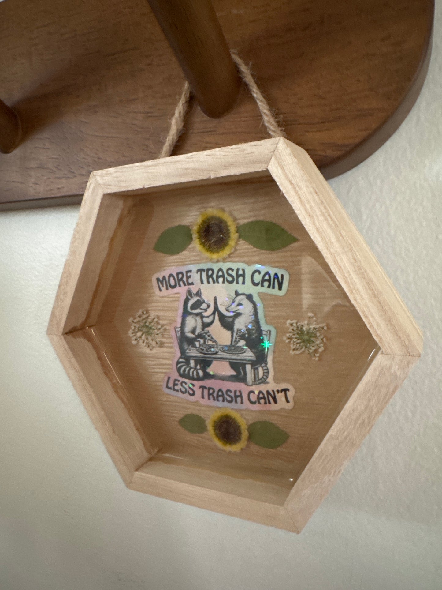 More Trash Can Less Trash Can’t Raccoon and Possum Hexagon Wood Frame