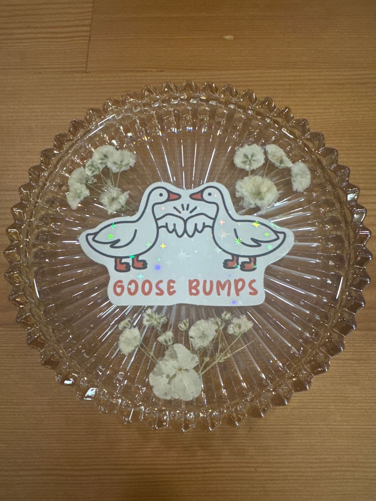 “Goose Bumps” White Pressed Flower Resin Glass Dish