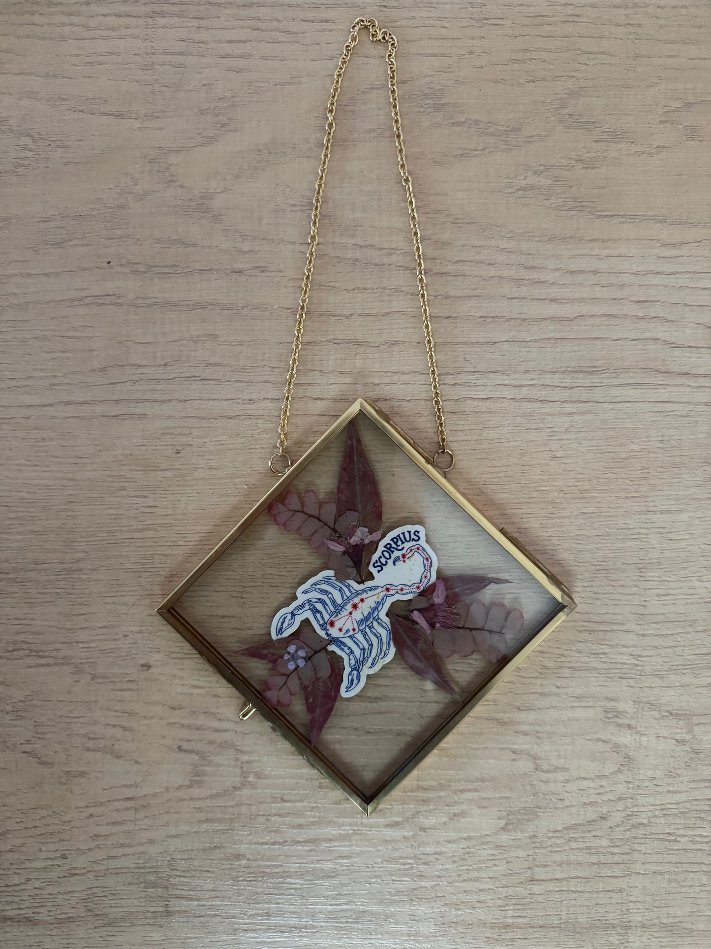 Scorpio Sign Glass Frame