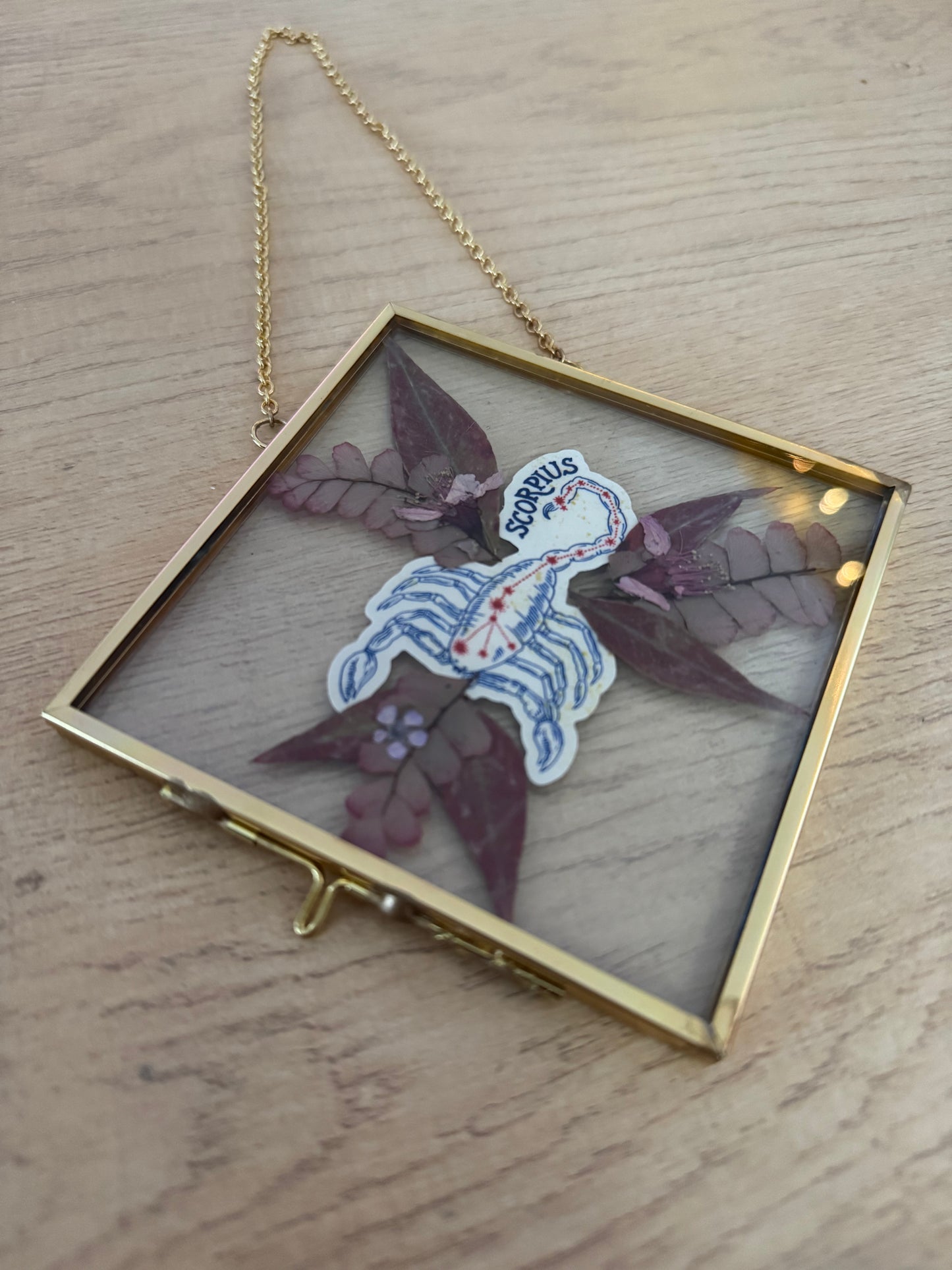 Scorpio Sign Glass Frame