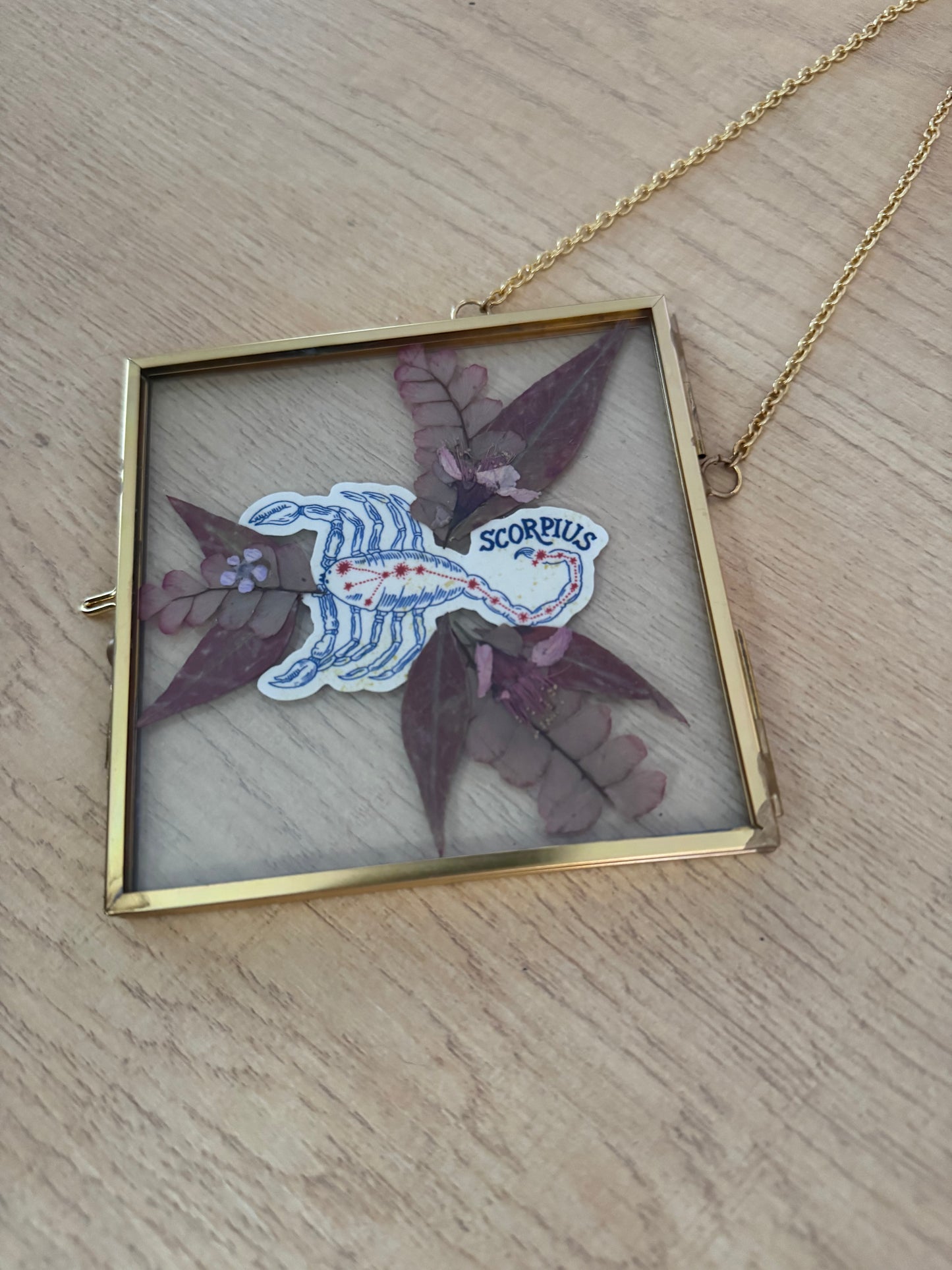 Scorpio Sign Glass Frame