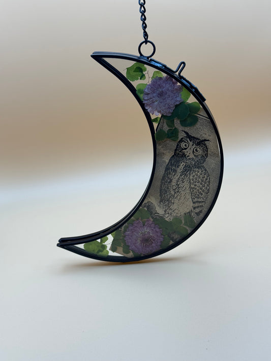 Nocturnal Bloom Moon Frame with Owl